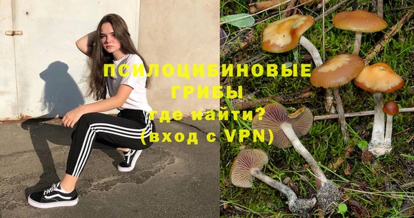 дмт Богородск