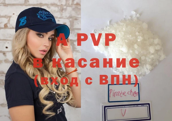 эйфоретик Богданович